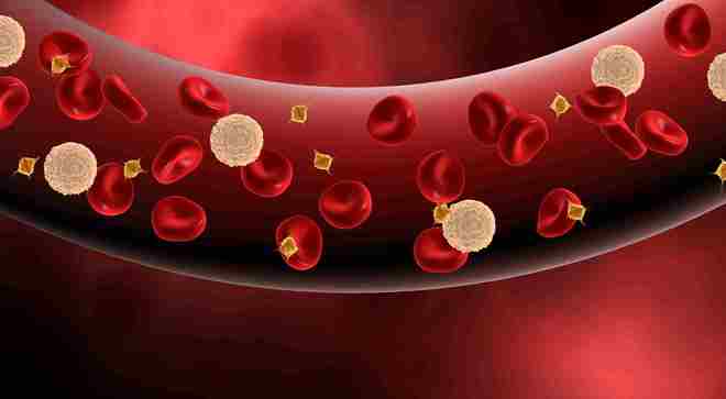 世界地貧日 這種遺傳病為何南方沿海地區(qū)高發(fā)？如何科學(xué)預(yù)防？(圖1)